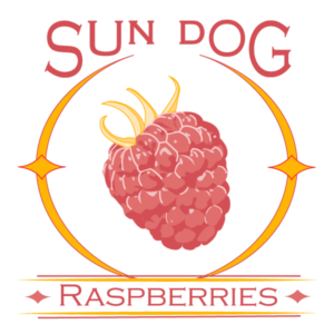 Logo for the company Sun Dog Raspberries. Features a raspberry in the center of a circular sun flare known as a sun dog.